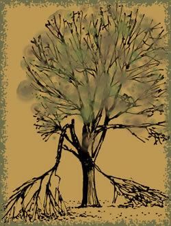 broken tree