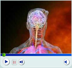 understanding depression video