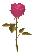 Good Gifts For Valentines - rose