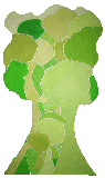 forest in a tree